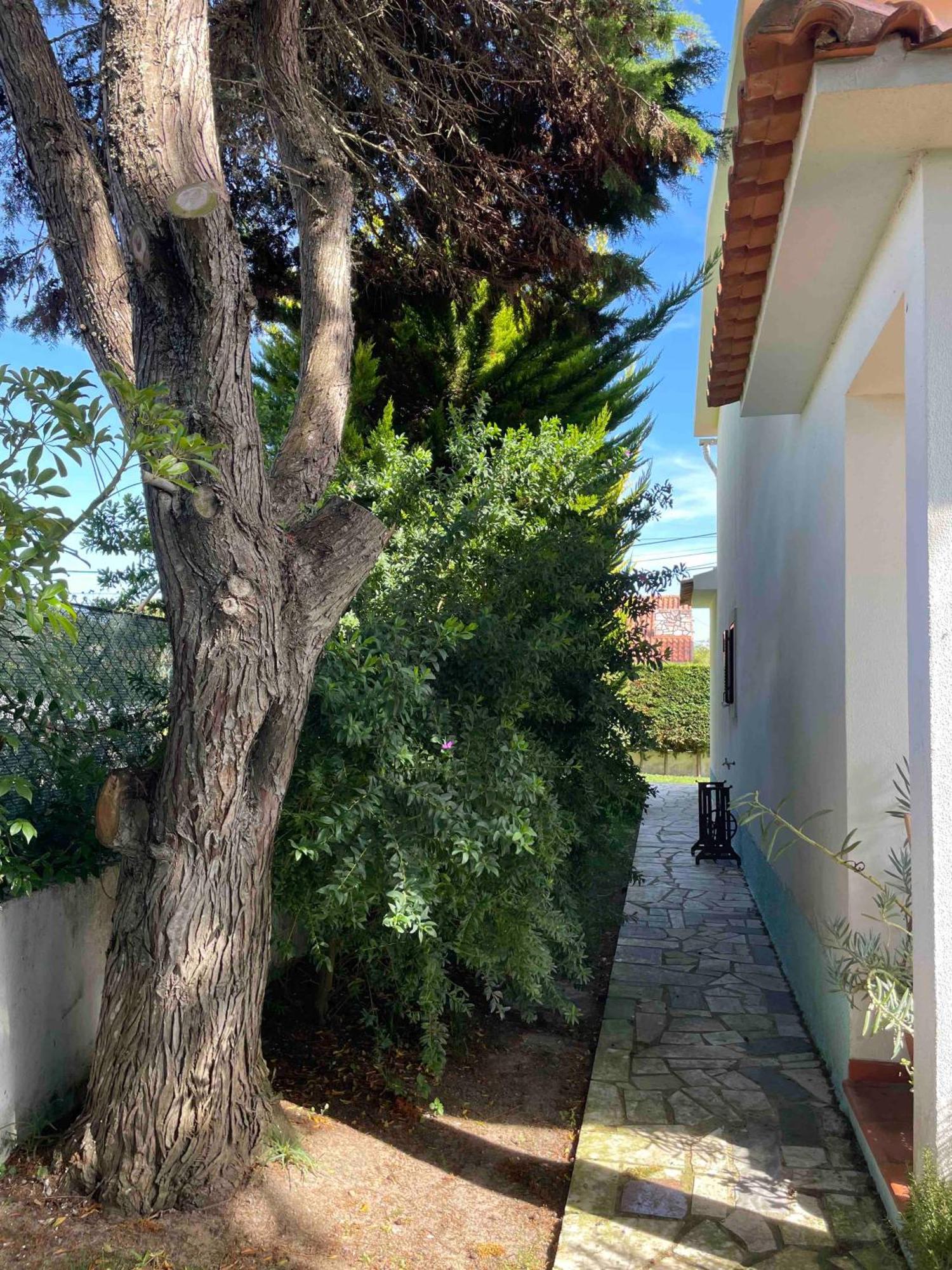 Santa Cruz Beach House Areias Kültér fotó
